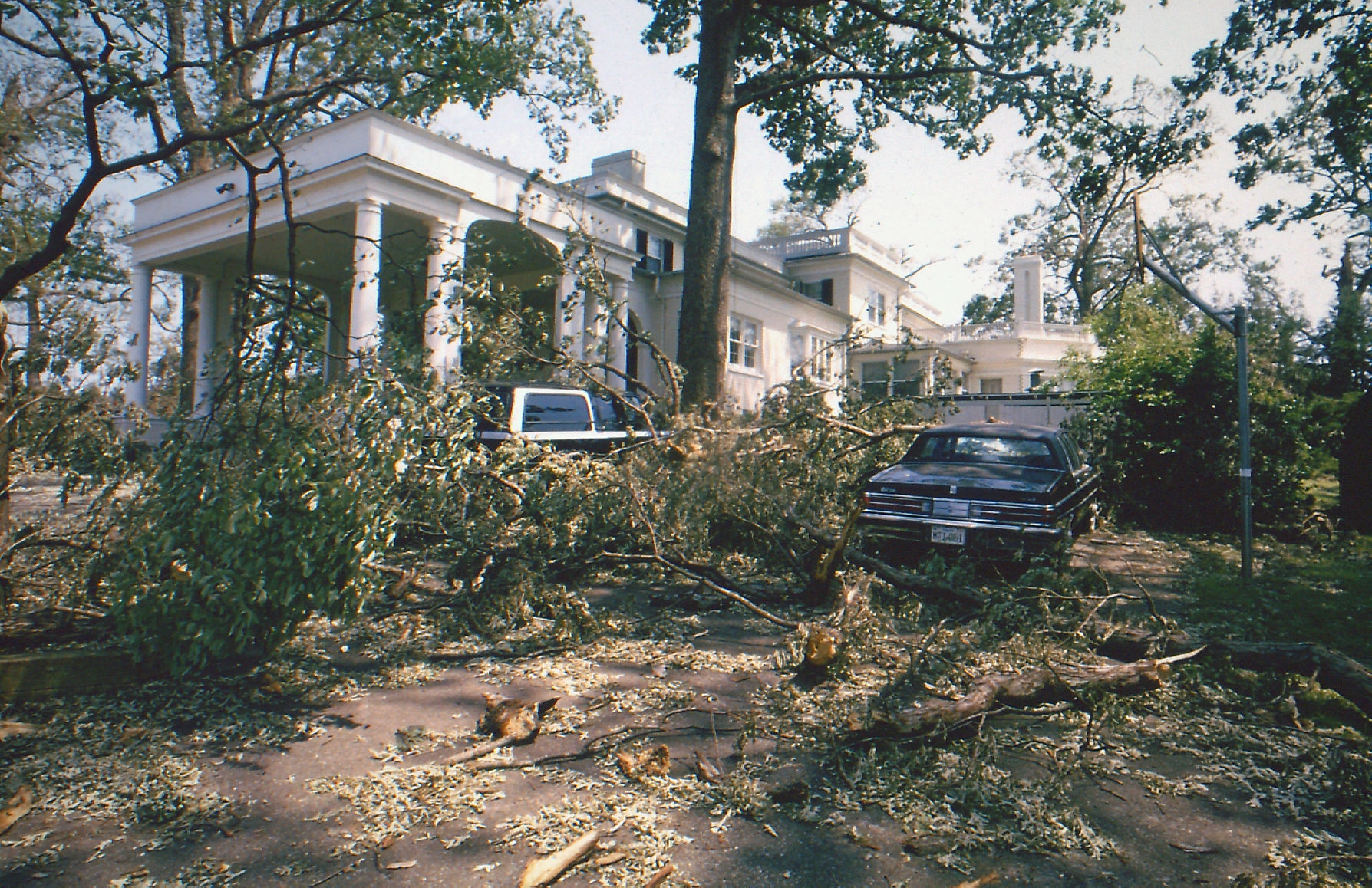 Windstorm of 1993